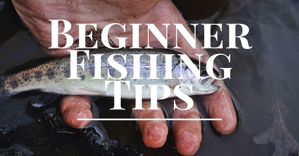 Beginner Fishing Tips