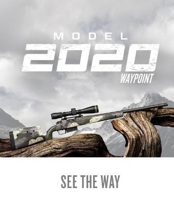 Model 2020 PR feature