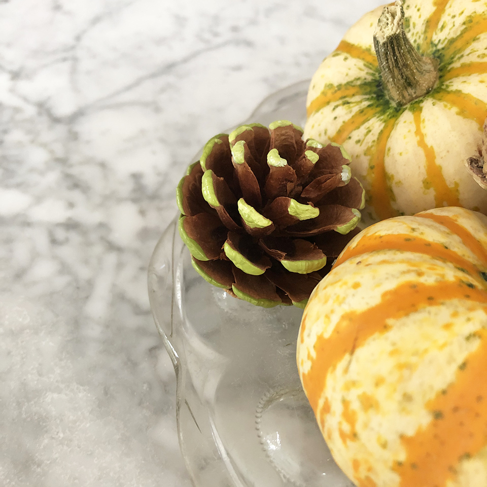 Ombre Pinecone with Pumpkin