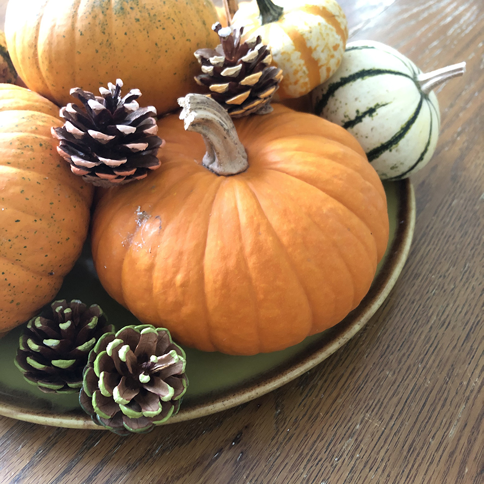 Ombre Pinecones and Pumpkins