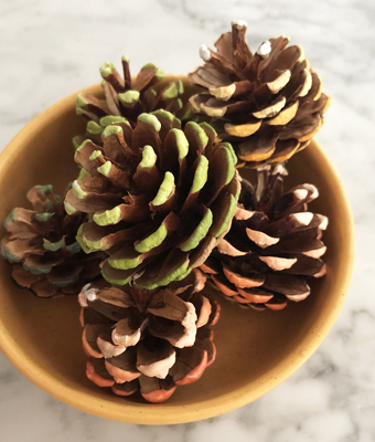 Ombre Pinecones feature