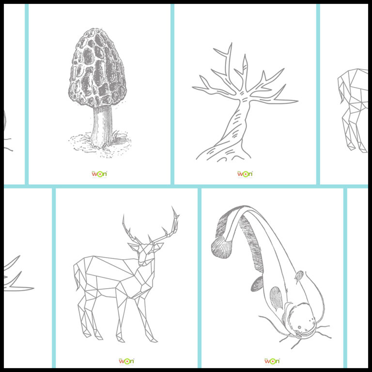 Fun Fill-In Printable Outdoor Coloring Templates for Kids
