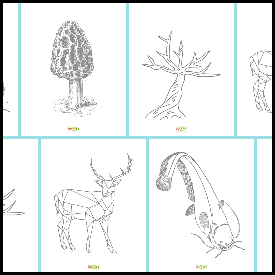 Outdoor Coloring Templates Collage