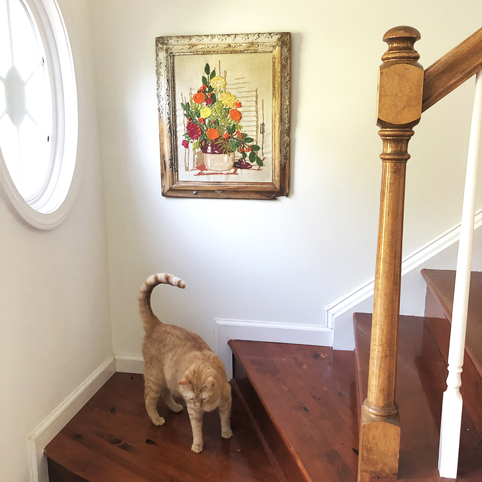 Rehabbed Frame Hanging