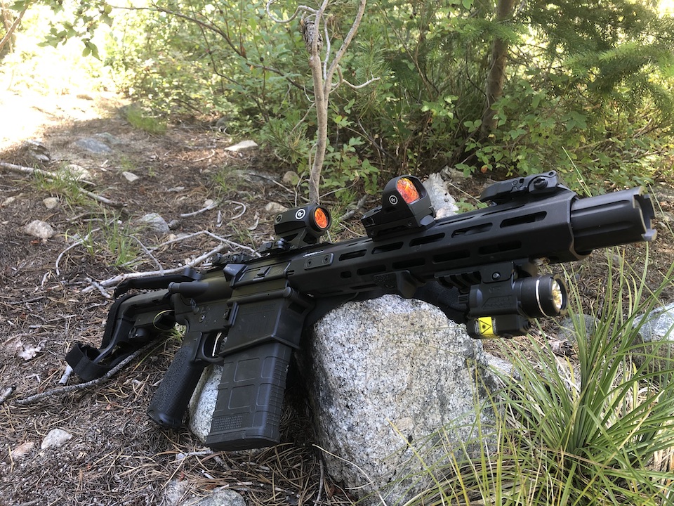 Saint Victor .308 AR-10 Pistol hanging out picking huckleberries in the Pacific Northwest