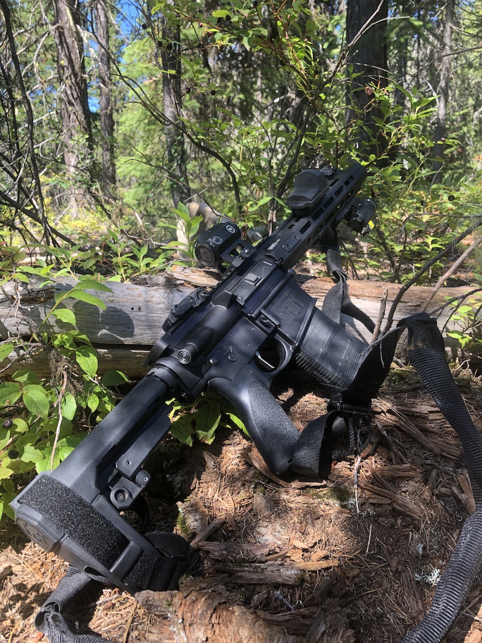 Saint Victor .308 AR-10 Pistol as a backwoods predator defense companion