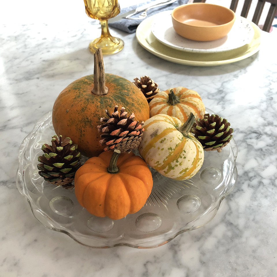 Volunteer Pumpkins and Ombre Pinecones