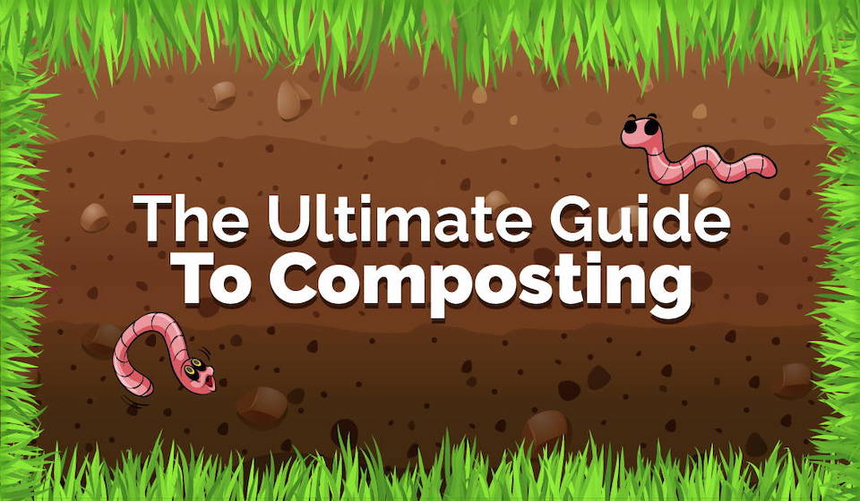 Composting and gardening Graphic