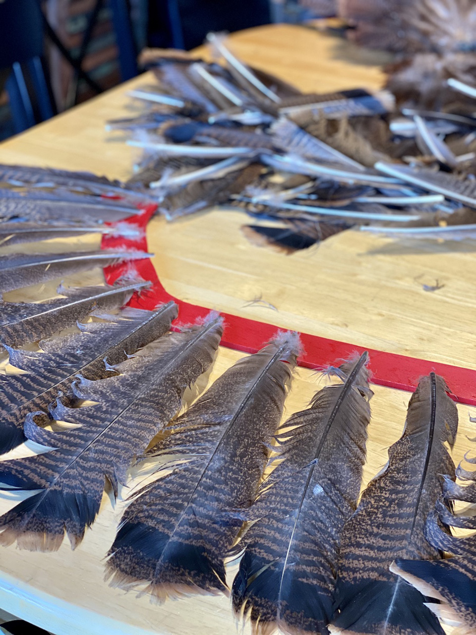 Laying out the turkey feathers for spacing before gluing