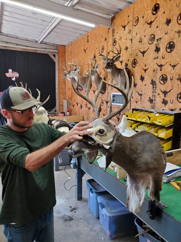 Will Brasseux Dallas Taxidermy