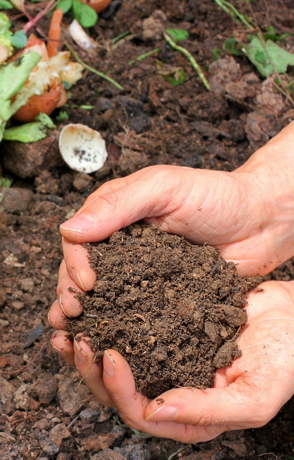 composting guide