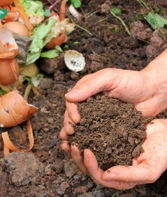 guide to composting feature