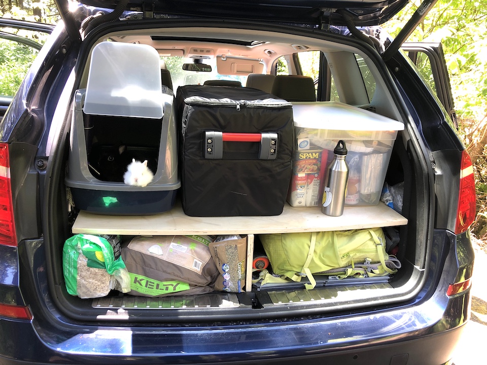 a packed car for the Geoduck Clam quest