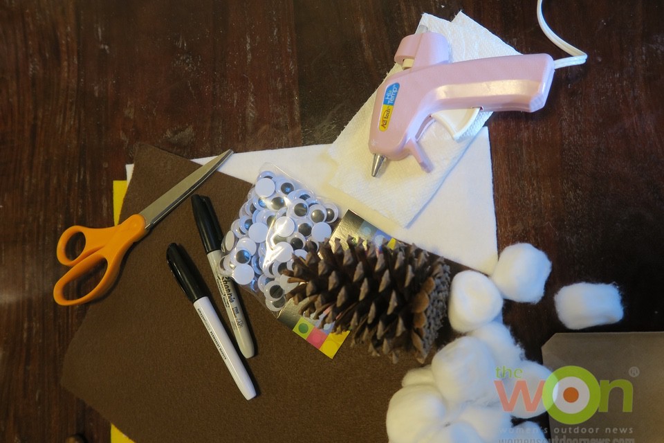 materials pinecone snowy owls