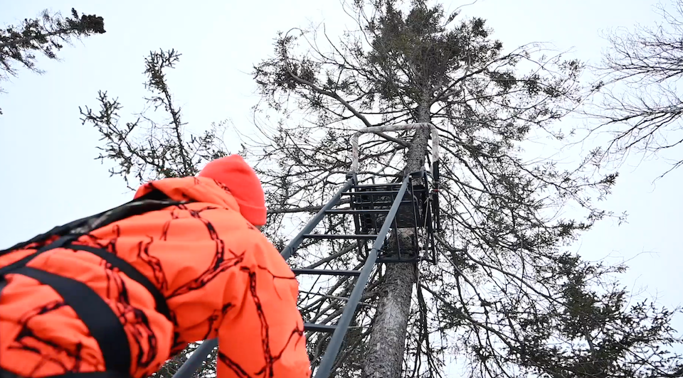 climbing into a tree stand