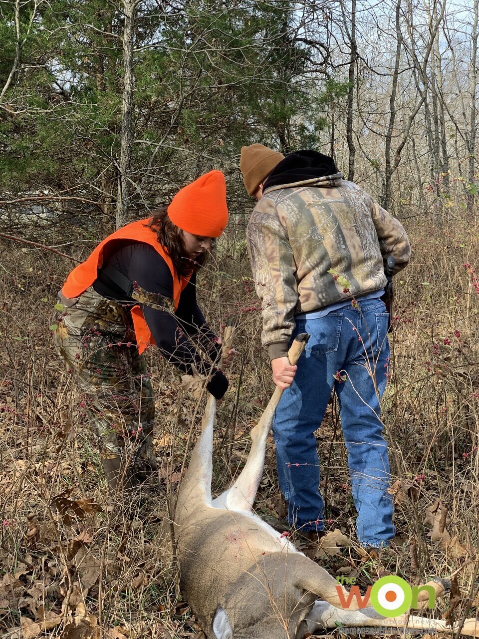 Deer drag whitetail success. hunt