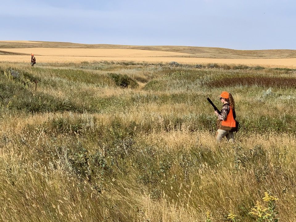 MT landscape Sophie Stemler hunting