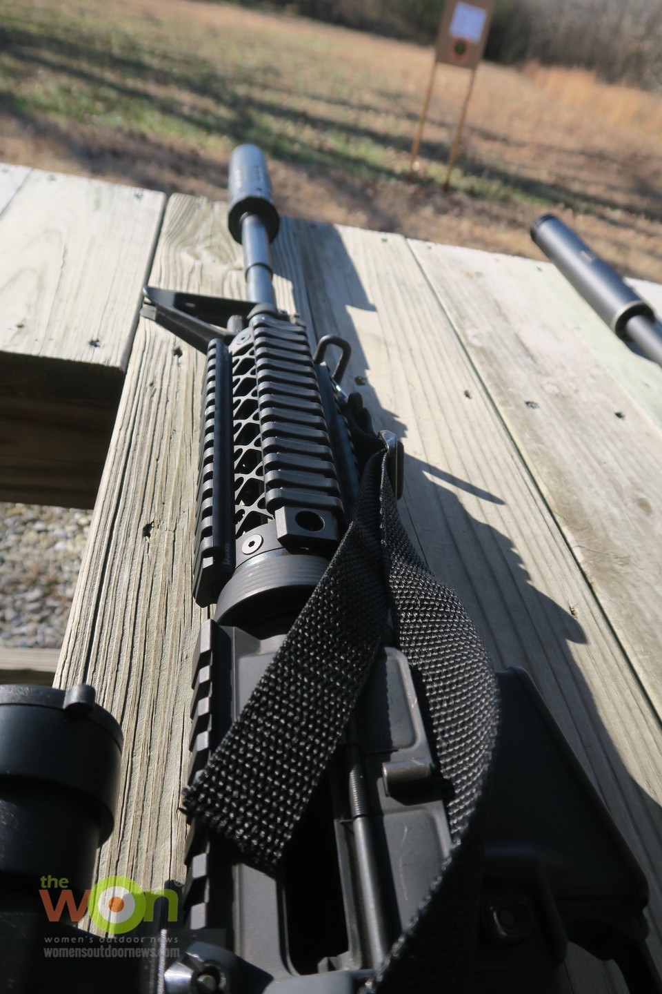 Palmetto Armory and suppressor