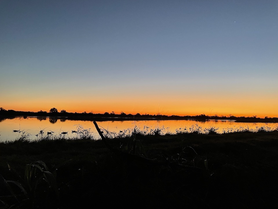 Sunrise Duck Hunting