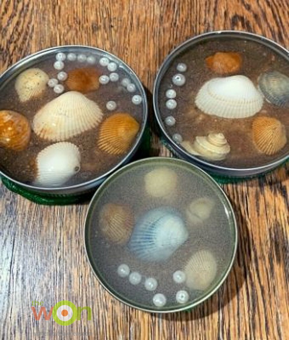 resin seashell coasters