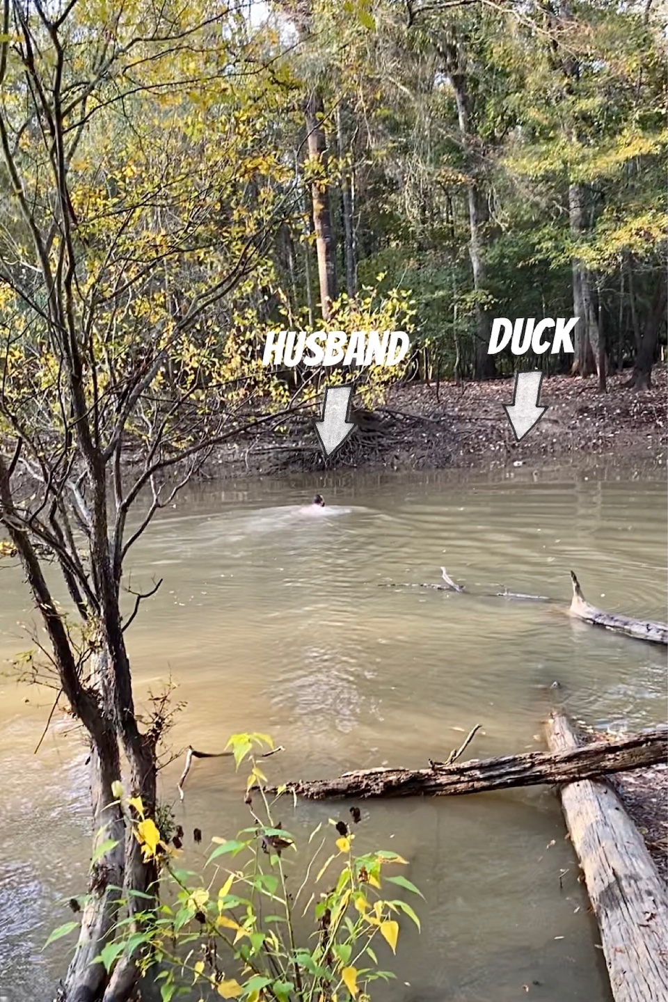 Husband Swimming to get Duck