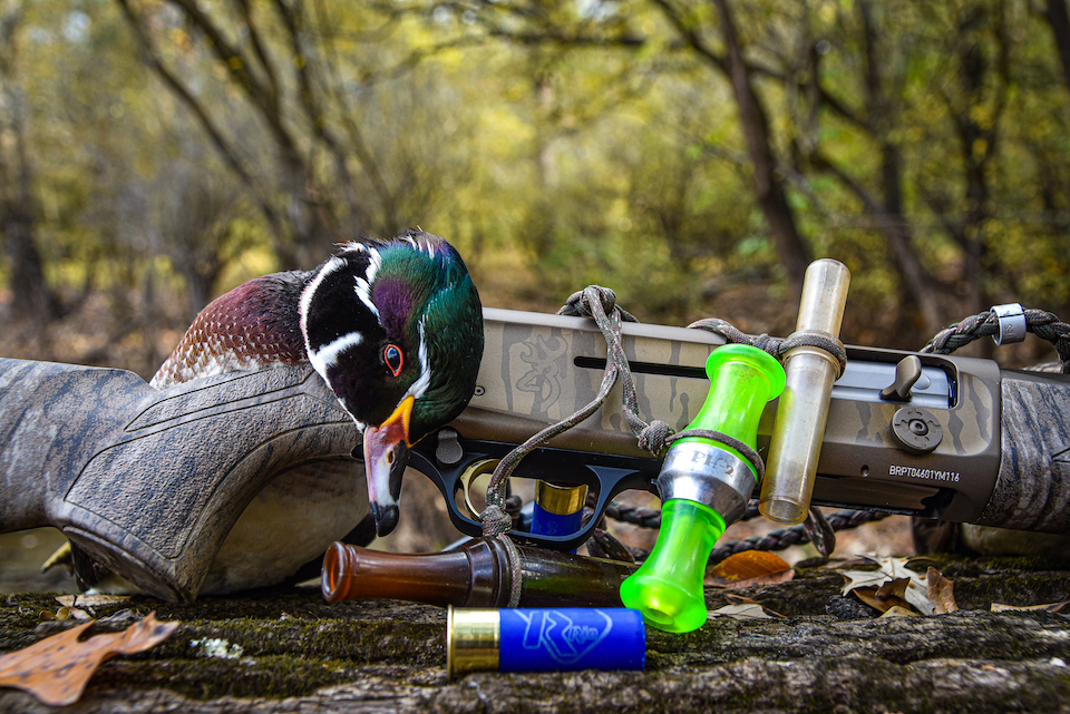 Wood Duck on Wicked Wing w: Calls Up Close