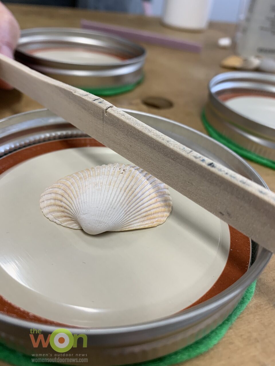 checking height of shell on diy resin seashell coasters