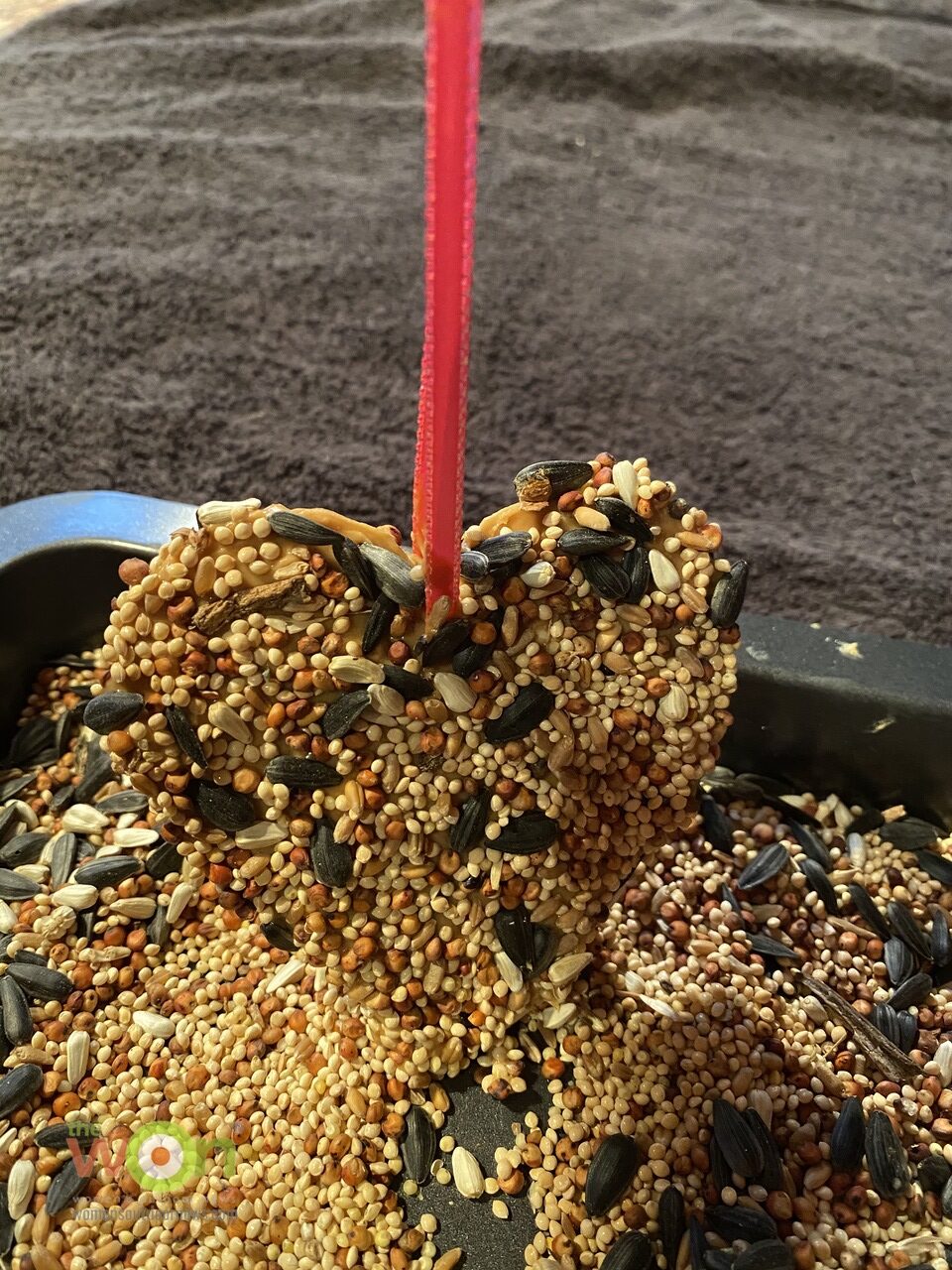 dipping the peanut butter heart into birdseed for Heart-Shaped Bird Feeder