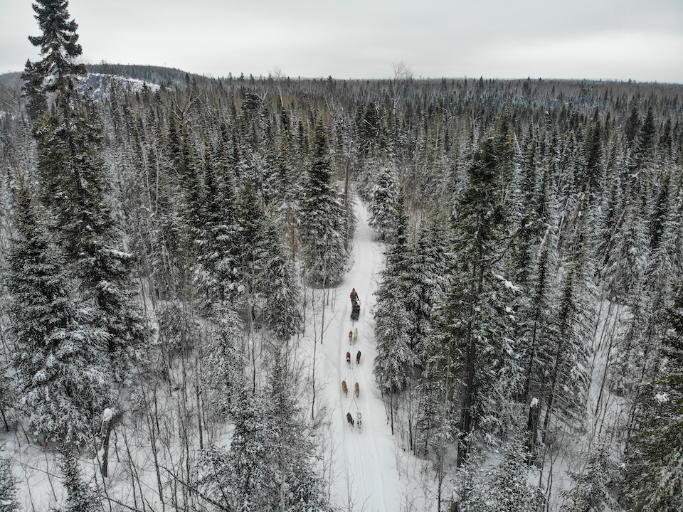 dog sledding drone