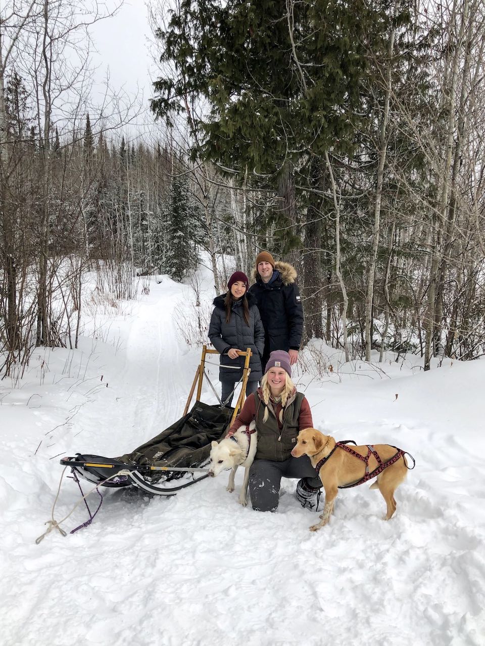 jenny nick jasmine dog sledding