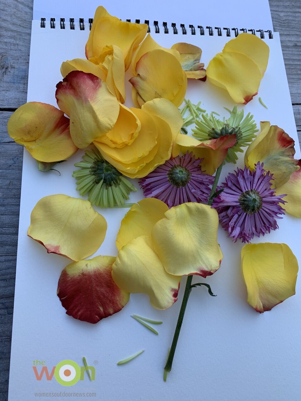 DIY Pounded Flowers Craft