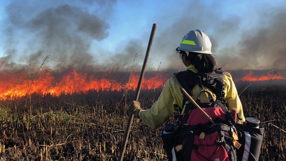 Women of Fire: Trailblazing Fire Experts in the National Park Service