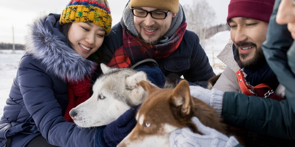 pet-friendly-ski-resorts