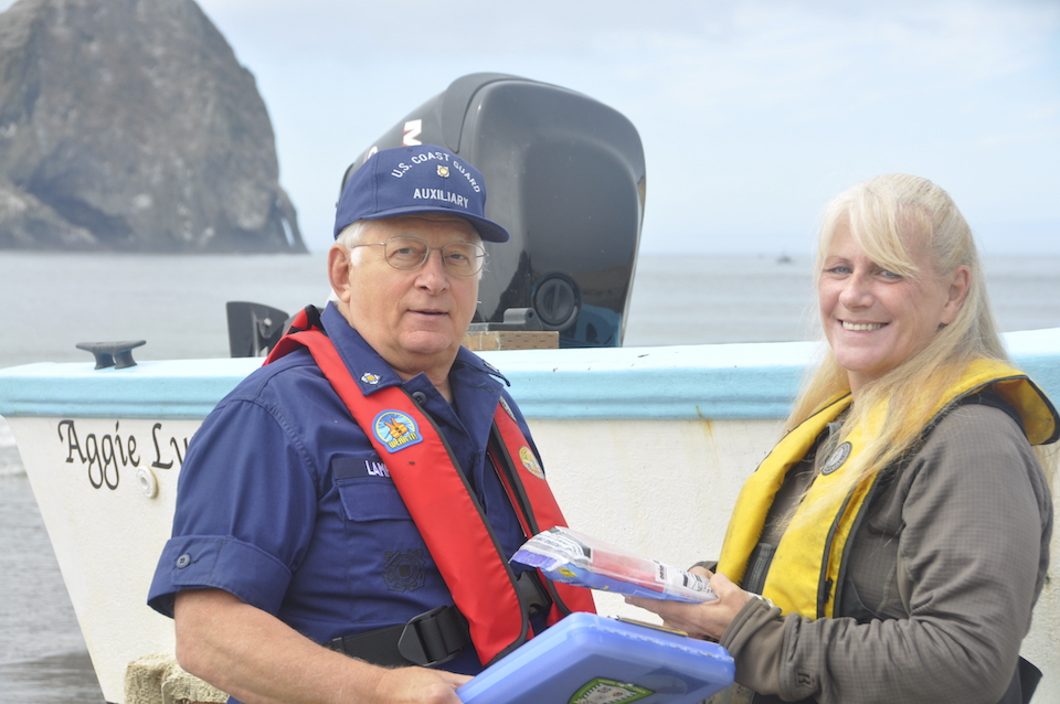 Boat safety check