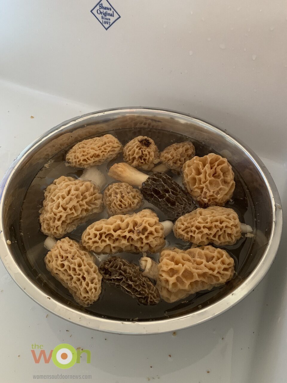 soaking morel mushrooms in salt water