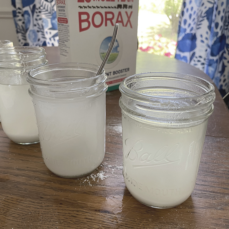 Adding Borax to Prepared Jars