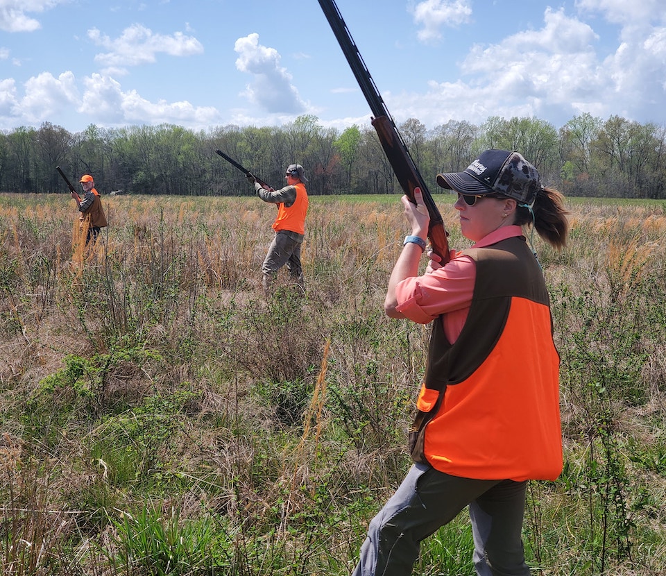 upland hunting in field with Syren