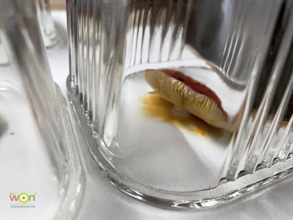 mushroom under glass