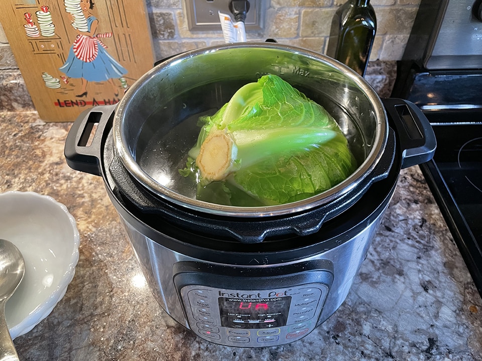 Boiling the Cabbage