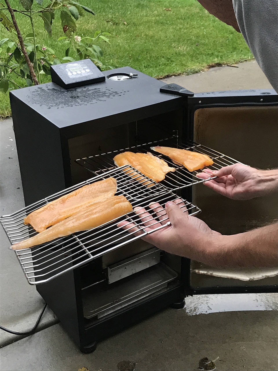 Smoked trout