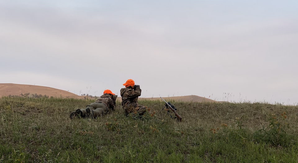 Glassing for whitetails