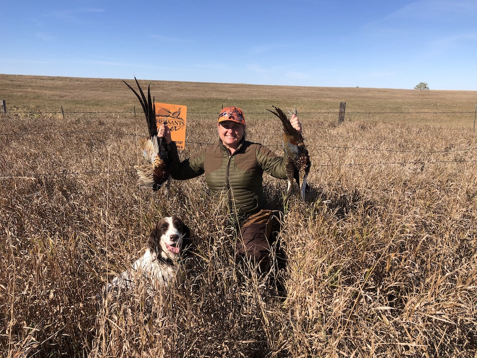 Pheasant hunt birds