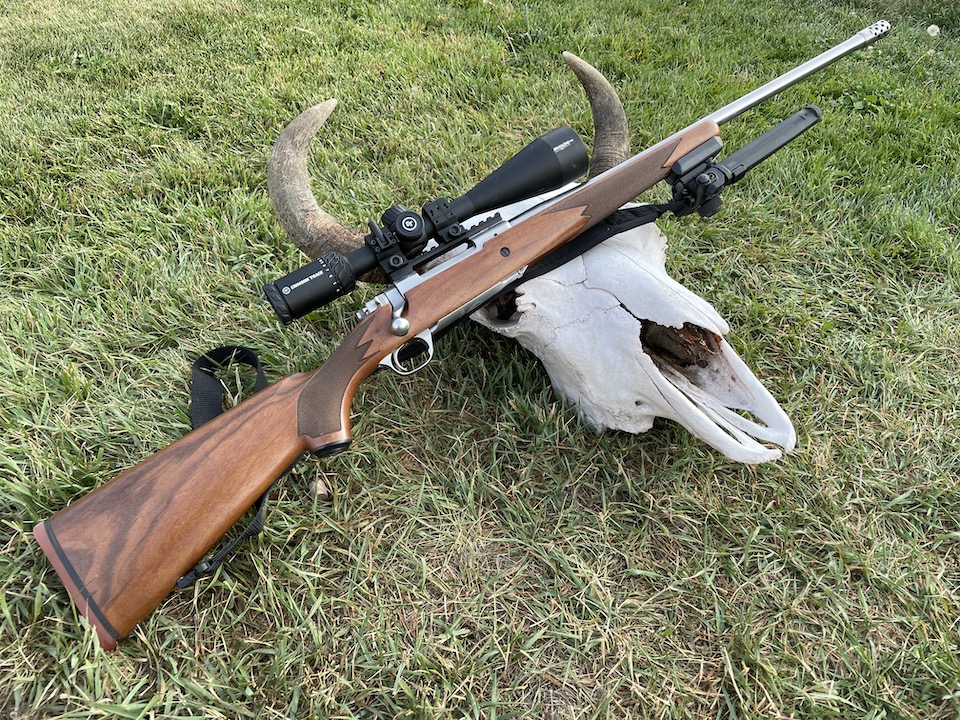 Ruger Hawkeye with bison skull found on the hunt by Caitlin