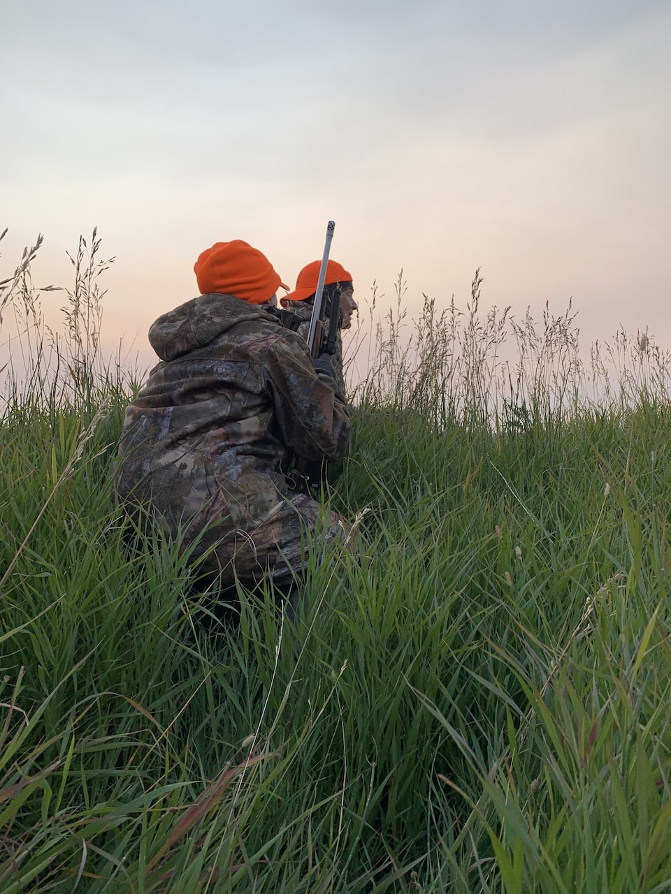 Stalking deer in the tall grass