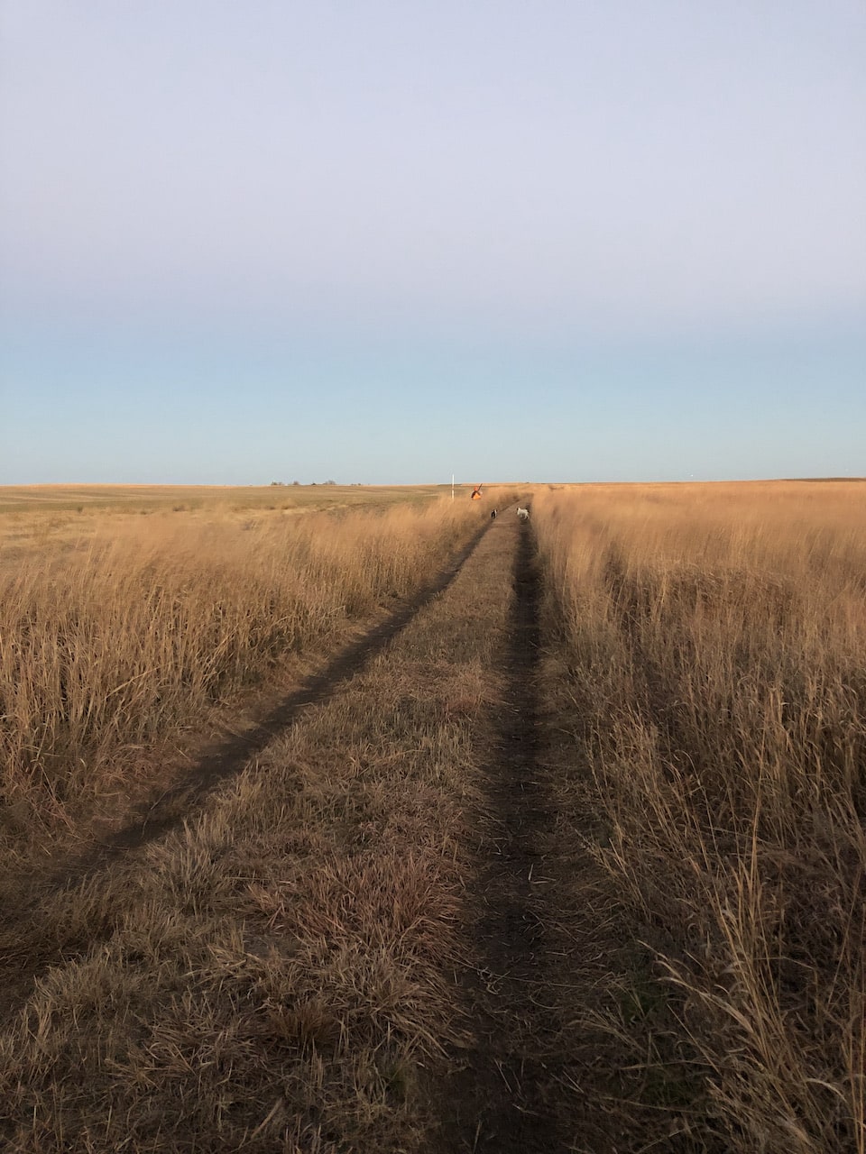 Upland field