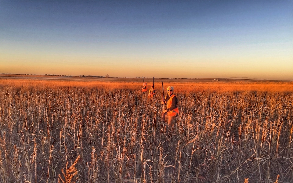 Upland hunting group