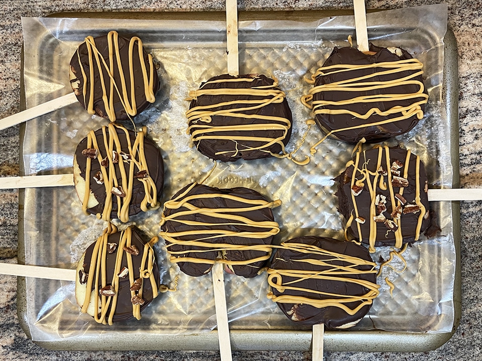 Apple Slices drying