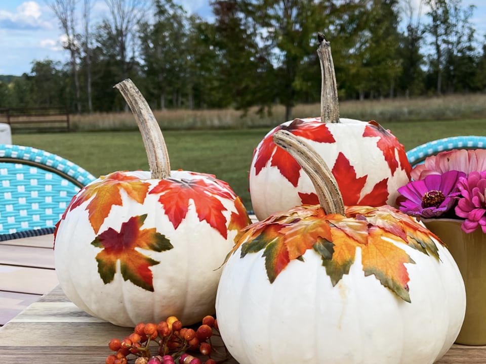 Falling Leaf Pumpkins Final 3