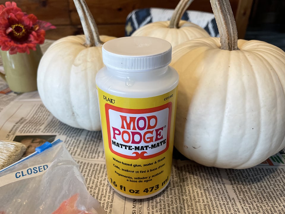 Falling Leaf Pumpkins Mod Podge