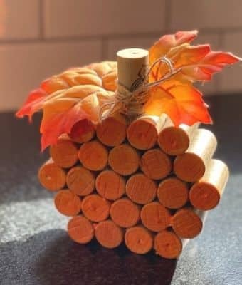 Featured with bow wine cork pumpkin